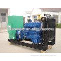 Reliable Operation Best Price CHP 50KW LPG generator